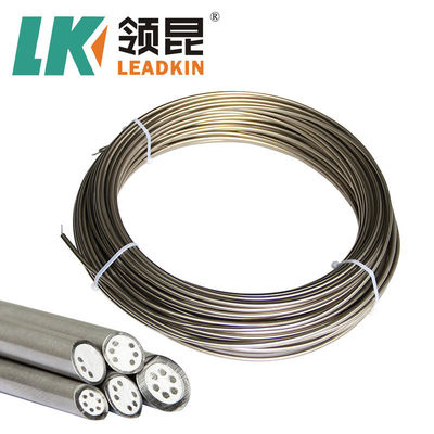 SS304 Mi Cavo di termocoppia tipo K 3,0 mm 6,0 mm